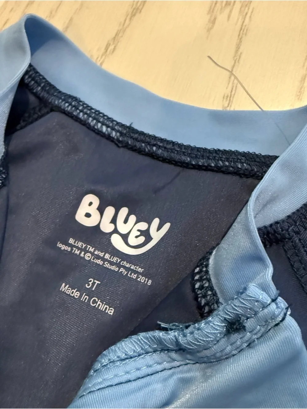 Bluey toddler summer